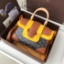 Goyard Bag 003